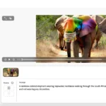 Adobe Firefly web app giao diện tạo video AI