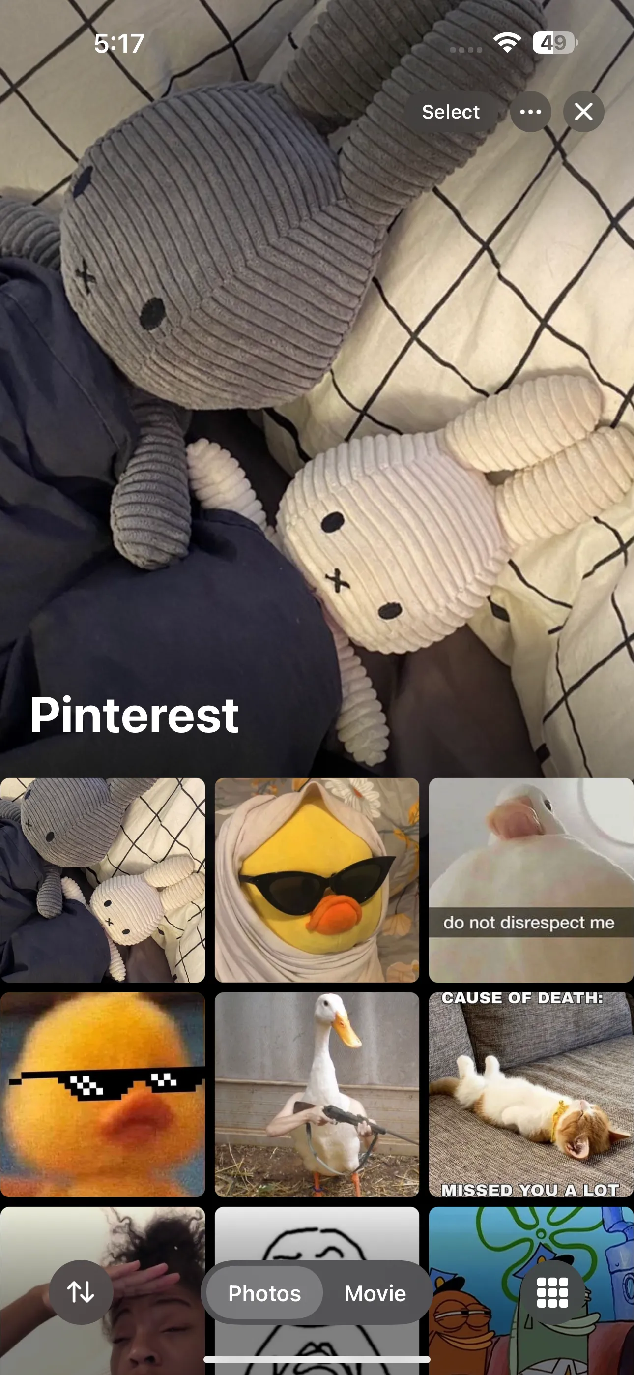 Album titled %22Pinterest%22 in the iOS Photos app