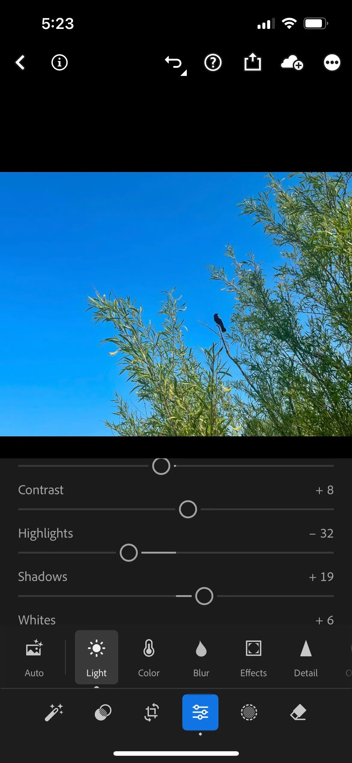 Bảng điều khiển chỉnh sửa phơi sáng cơ bản trong Lightroom Mobile, tối ưu cho ảnh động vật hoang dã.