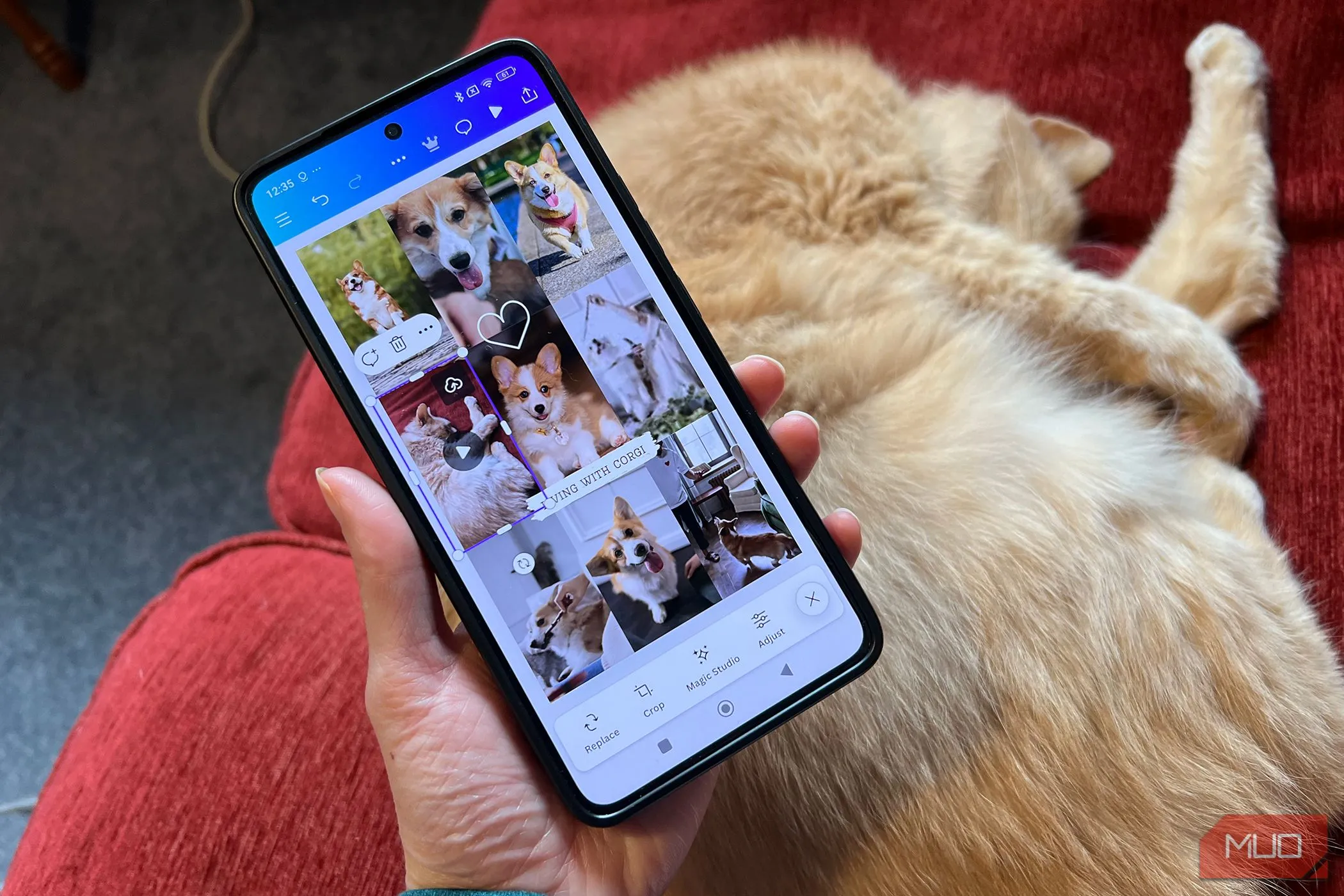 Chỉnh sửa video dễ dàng trên Canva Android