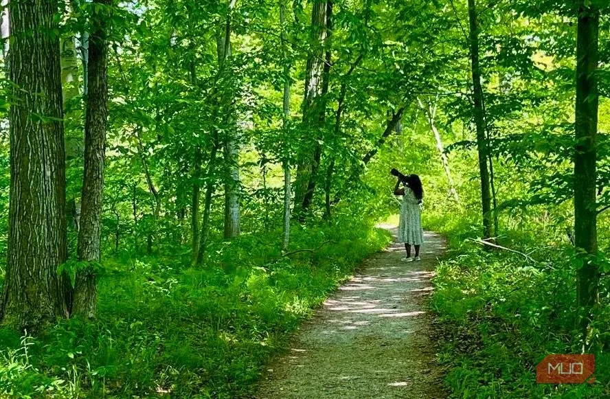 Chụp ảnh ngoài trời với máy ảnh DSLR để tận hưởng trọn vẹn quá trình nhiếp ảnh