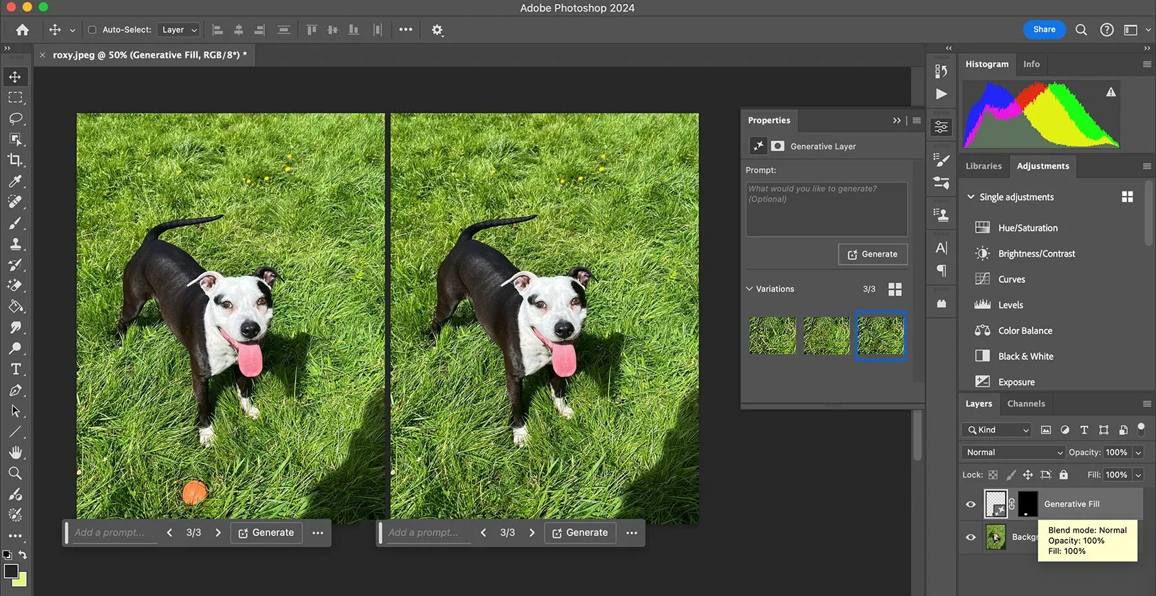 Công cụ Generative Fill AI trong Adobe Photoshop giúp người dùng chỉnh sửa và tạo hình ảnh bằng trí tuệ nhân tạo