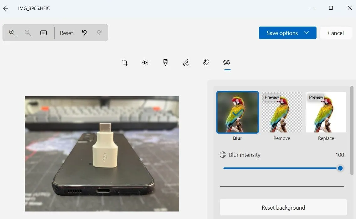 Công cụ xóa nền trong ứng dụng Photos trên Windows 11