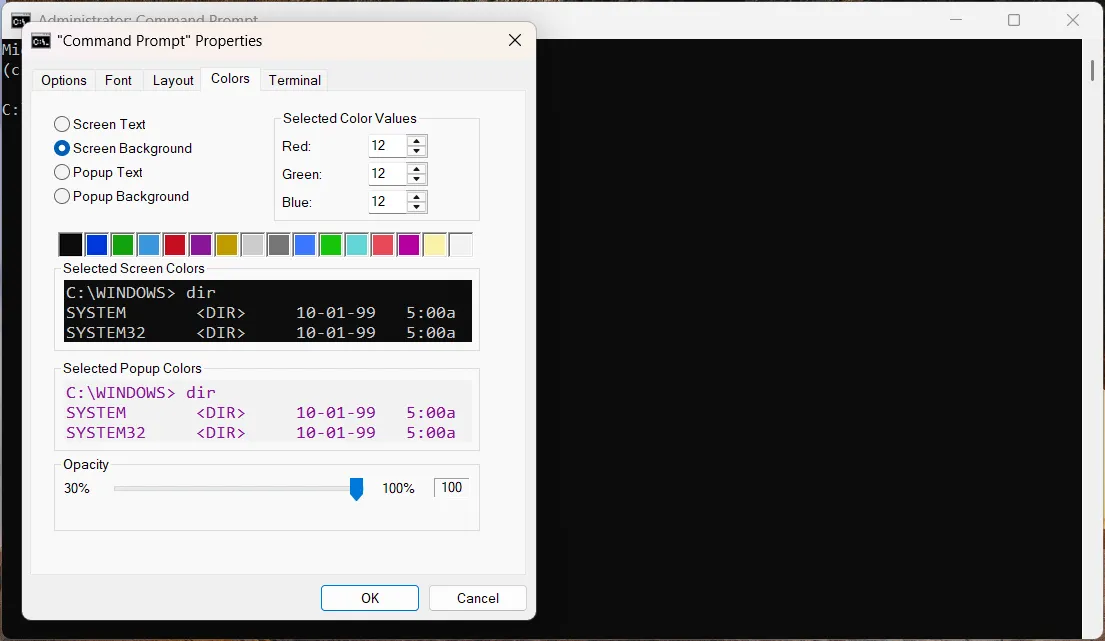 cửa sổ thuộc tính của Command Prompt trên Windows
