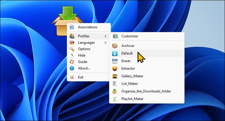 Cửa sổ tùy chọn của DropIt trên màn hình Windows 11, dùng để tự động sắp xếp và quản lý tệp.