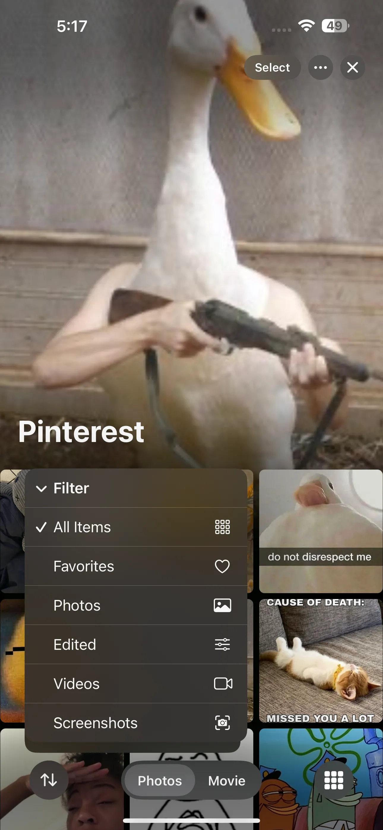 Different fitlering options in the iOS Photos app