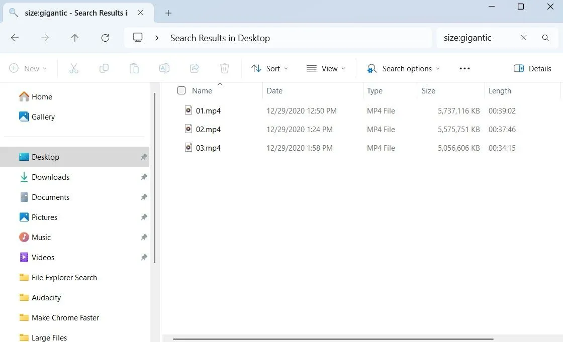 File Explorer của Windows hiển thị các tệp tin lớn