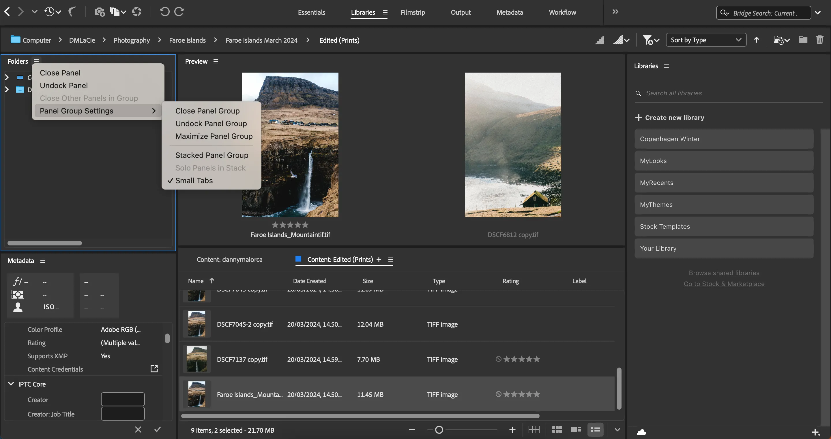 Giao diện cài đặt tùy chỉnh bảng điều khiển trong Adobe Bridge để quản lý ảnh