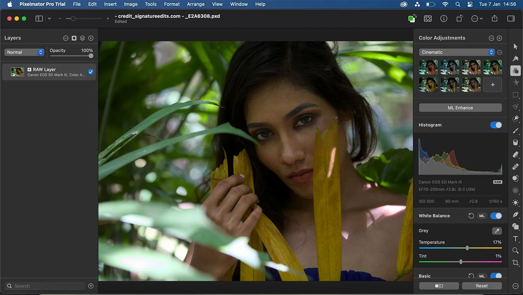 Giao diện chỉnh sửa ảnh RAW trên Pixelmator Pro với khả năng chỉnh sửa lớp