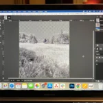 Giao diện GIMP 3.0 trực quan được cập nhật với các tùy chọn cá nhân hóa.
