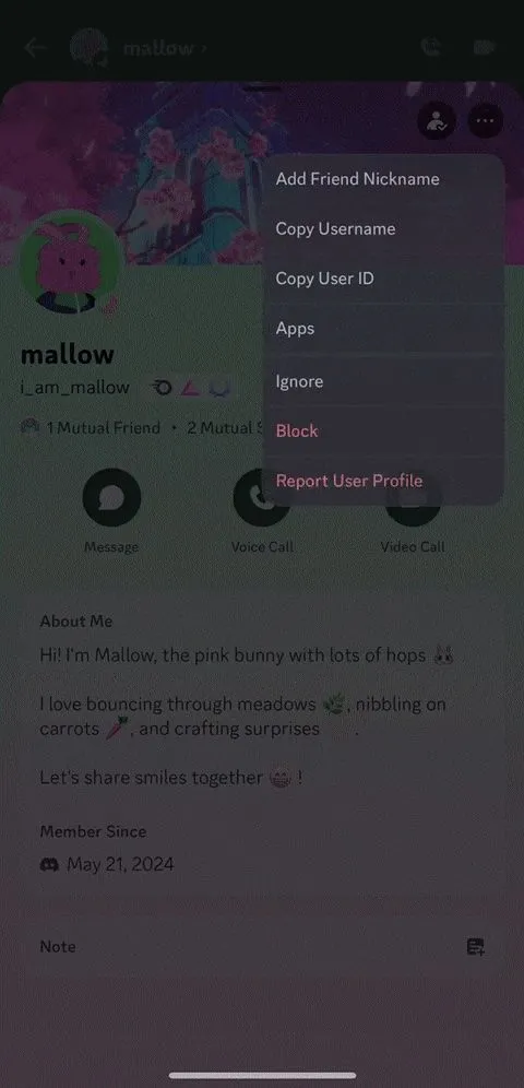 Giao diện hồ sơ người dùng Discord với menu ba chấm mở ra tùy chọn Ignore