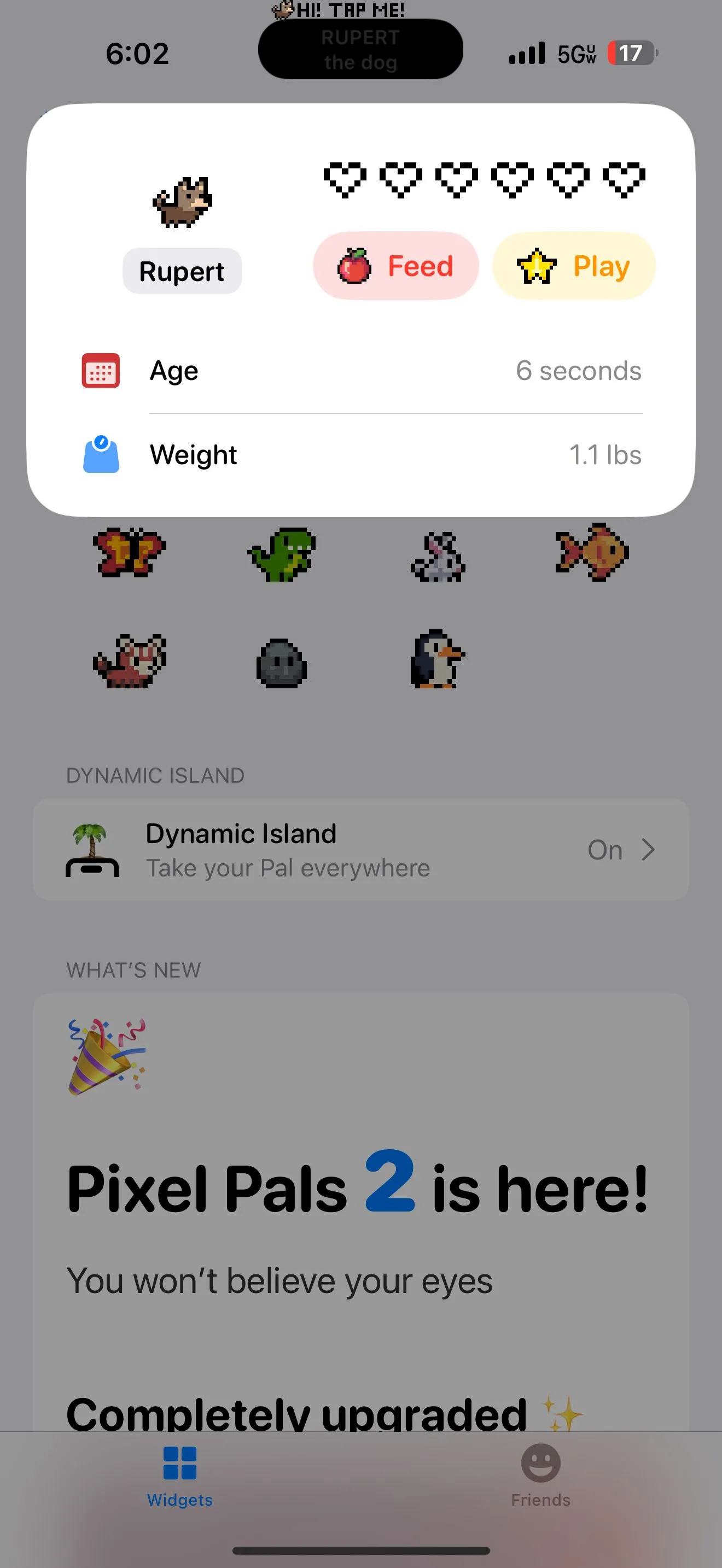 Giao diện thông tin chi tiết về chú chó ảo trong ứng dụng Pixel Pals trên Dynamic Island.