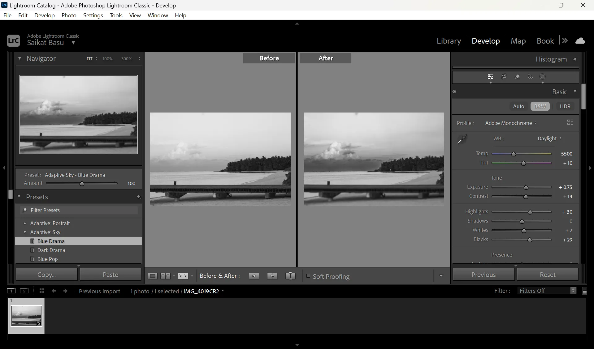 Giao diện trước và sau khi áp dụng filter trong Lightroom