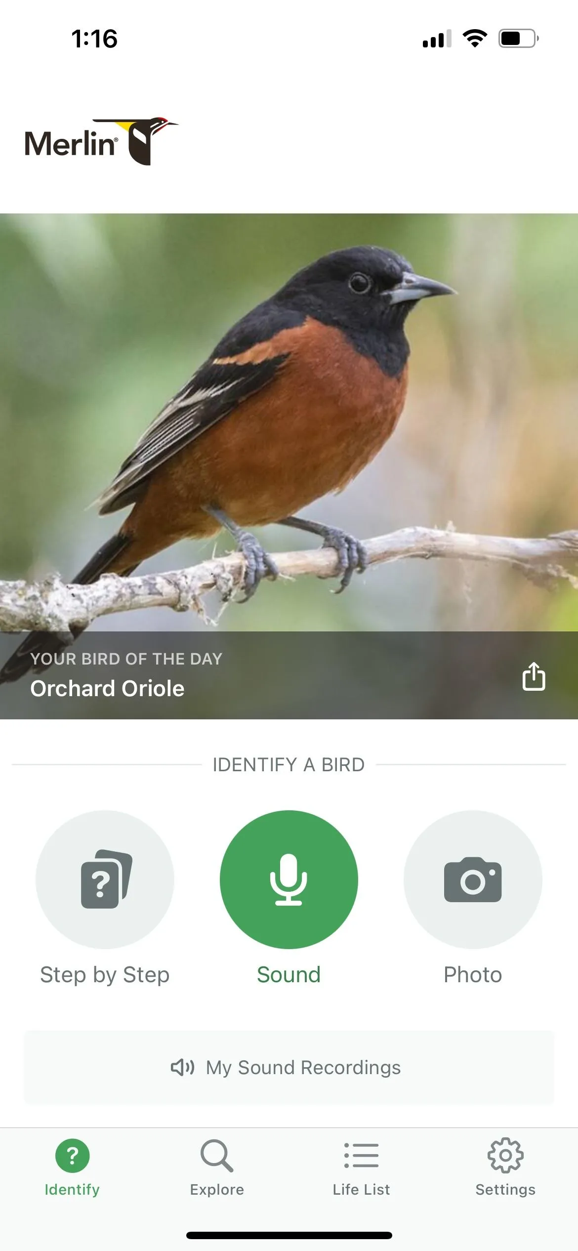 Giao diện ứng dụng Merlin Bird ID nhận diện chim qua âm thanh