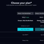 Gói đăng ký và ưu đãi Disney+ Hulu Duo Bundle Basic