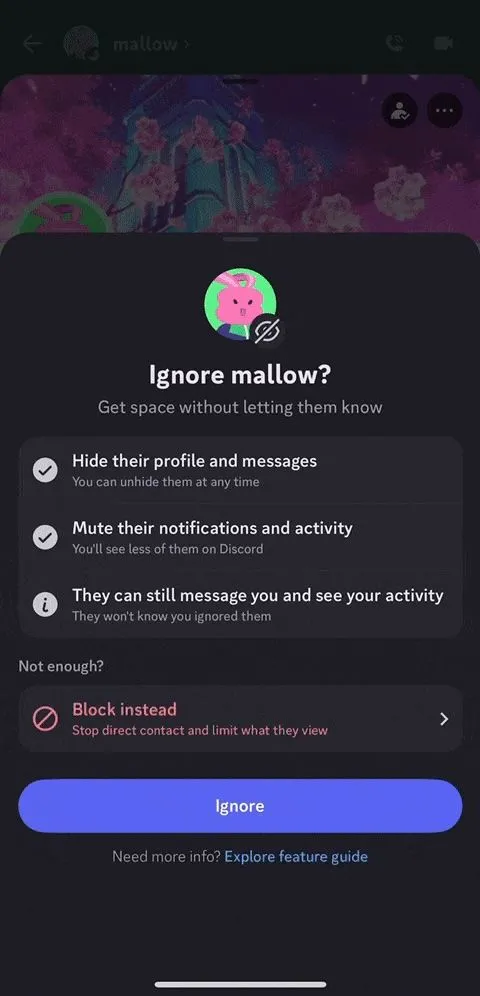 Hộp thoại xác nhận trên Discord khi người dùng chọn tùy chọn Ignore để bỏ qua tin nhắn và thông báo từ tài khoản khác