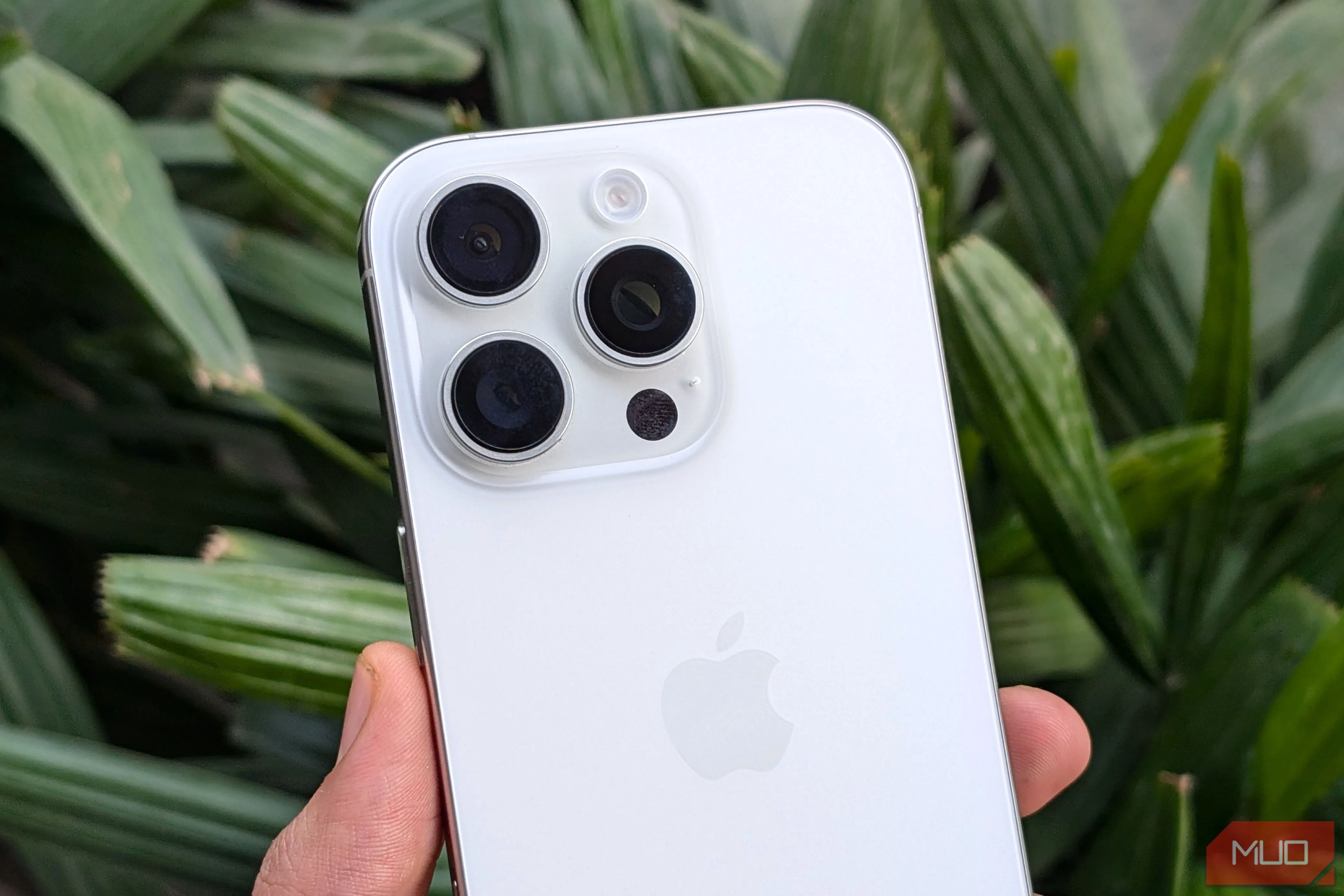 iPhone 16 Pro màu trắng trong tay trước cây xanh