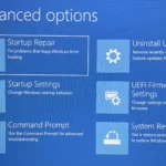 Màn hình Advanced Options trong Windows.