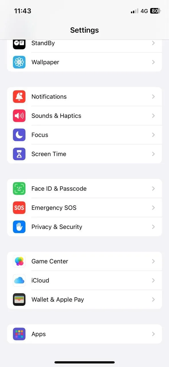 Màn hình cài đặt ứng dụng Thư trên iPhone hiển thị mục Bảo vệ Quyền riêng tư
