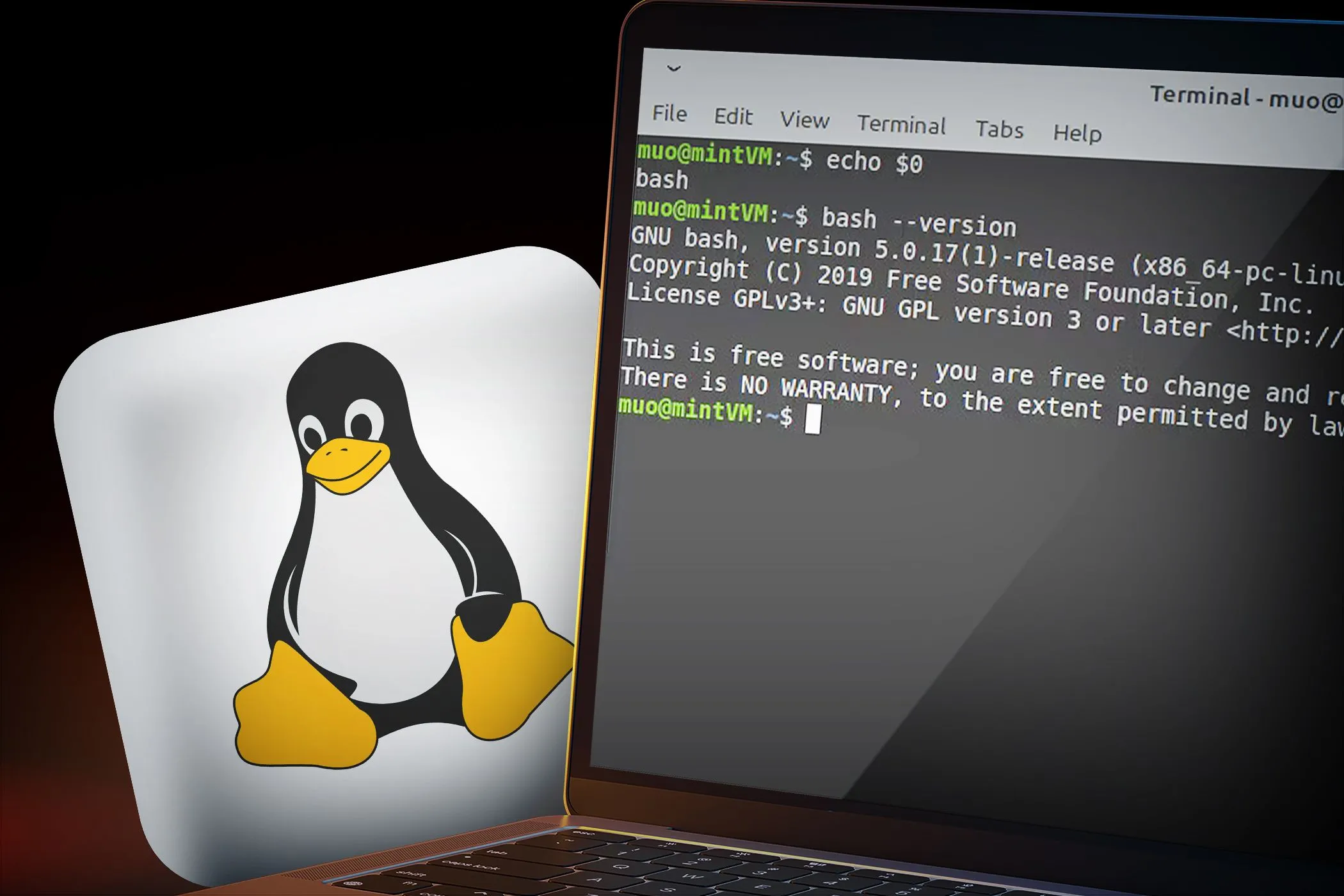 Màn hình máy tính xách tay hiển thị dòng lệnh và logo Linux, minh họa tính bảo mật và mã nguồn mở
