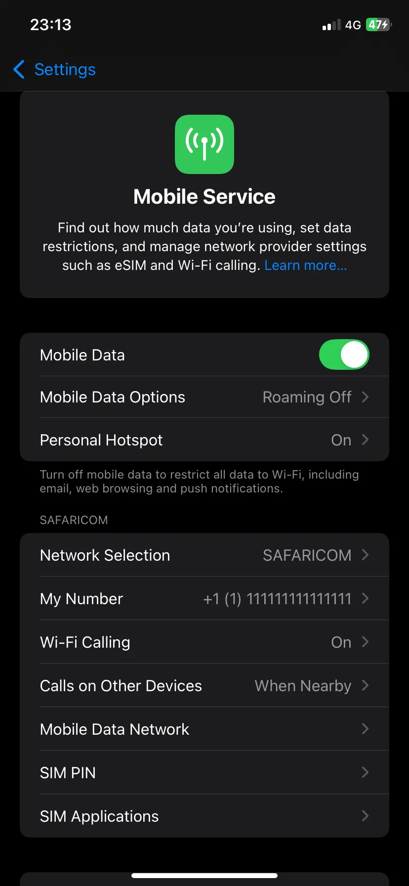 Màn hình Tùy chọn Dữ liệu Di động trên iOS hiển thị chế độ &quot;Low Data Mode&quot;