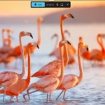 Menu quay video màn hình của Snipping Tool trên Windows 11 hiển thị các tùy chọn ghi âm