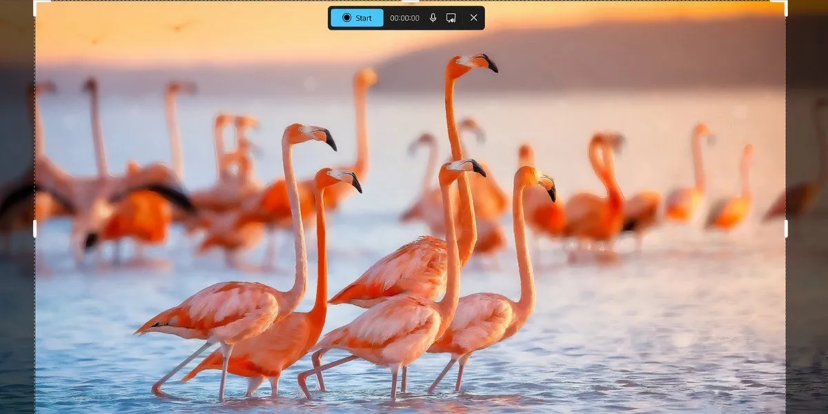 Menu quay video màn hình của Snipping Tool trên Windows 11 hiển thị các tùy chọn ghi âm