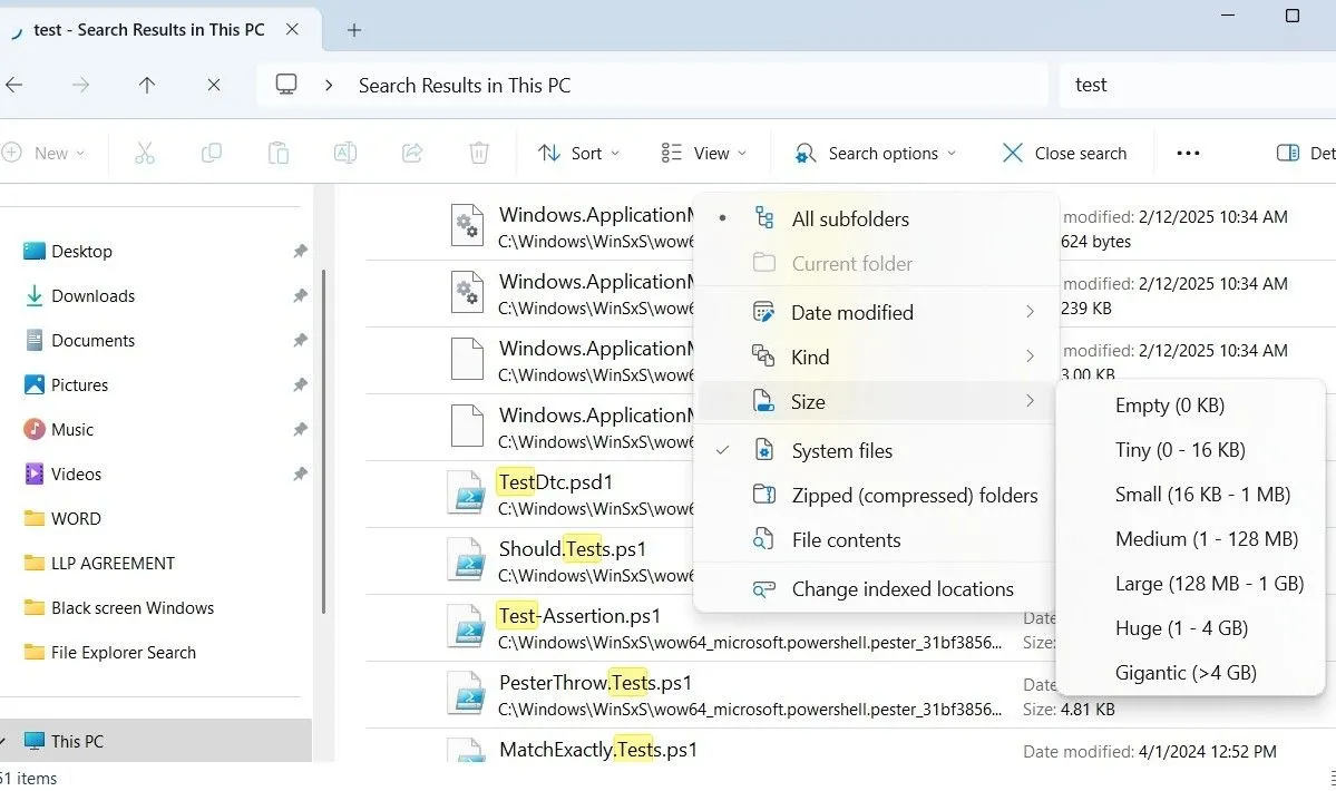 Menu tùy chọn tìm kiếm File Explorer trên Windows