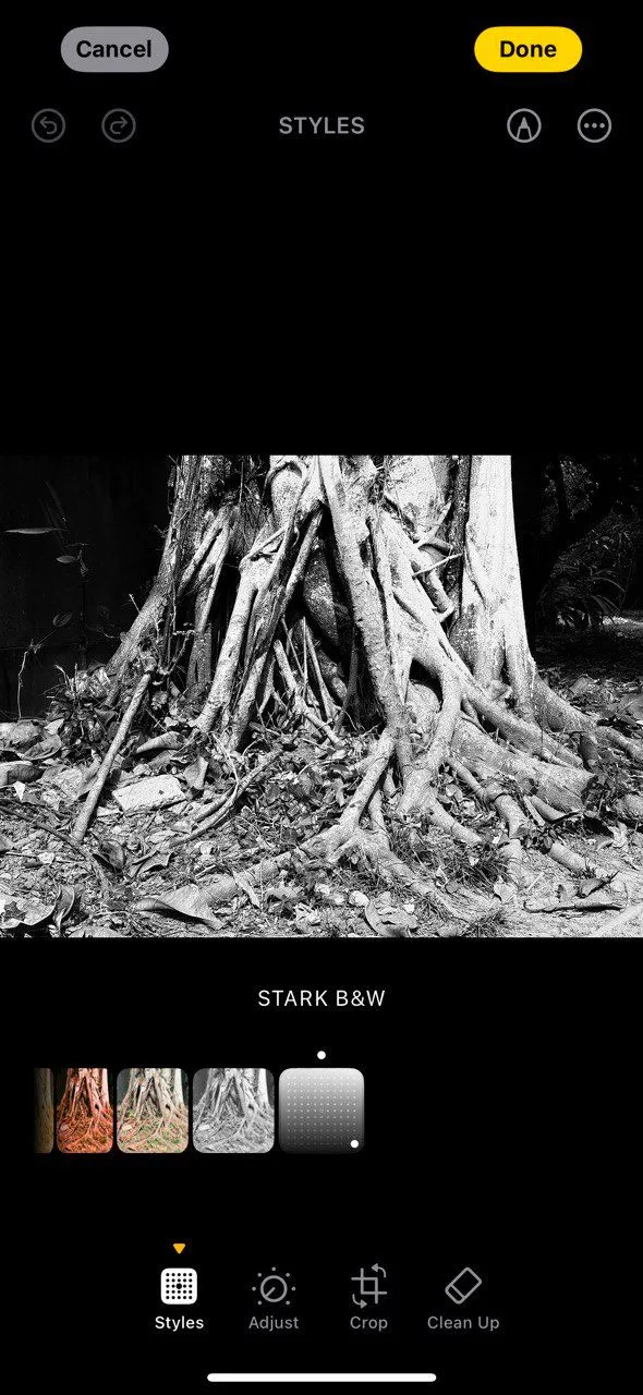 Phong Cách Nhiếp Ảnh Stark B&amp;W trên iPhone 16