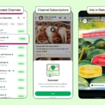Quảng cáo xuất hiện trên mục Status của WhatsApp, tương tự Instagram Stories