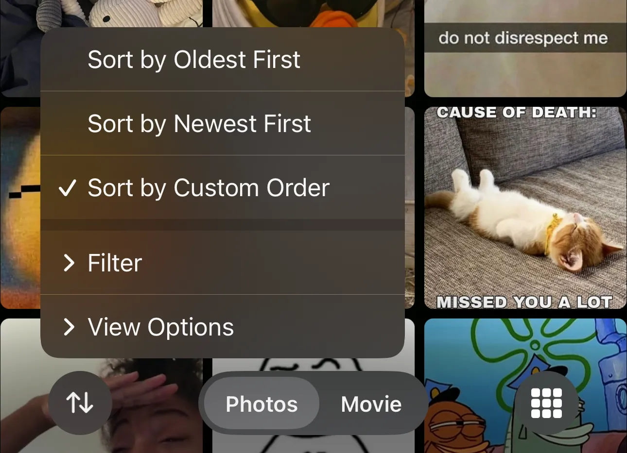 Sorting and Filtering options in the iOS Photos app within an album