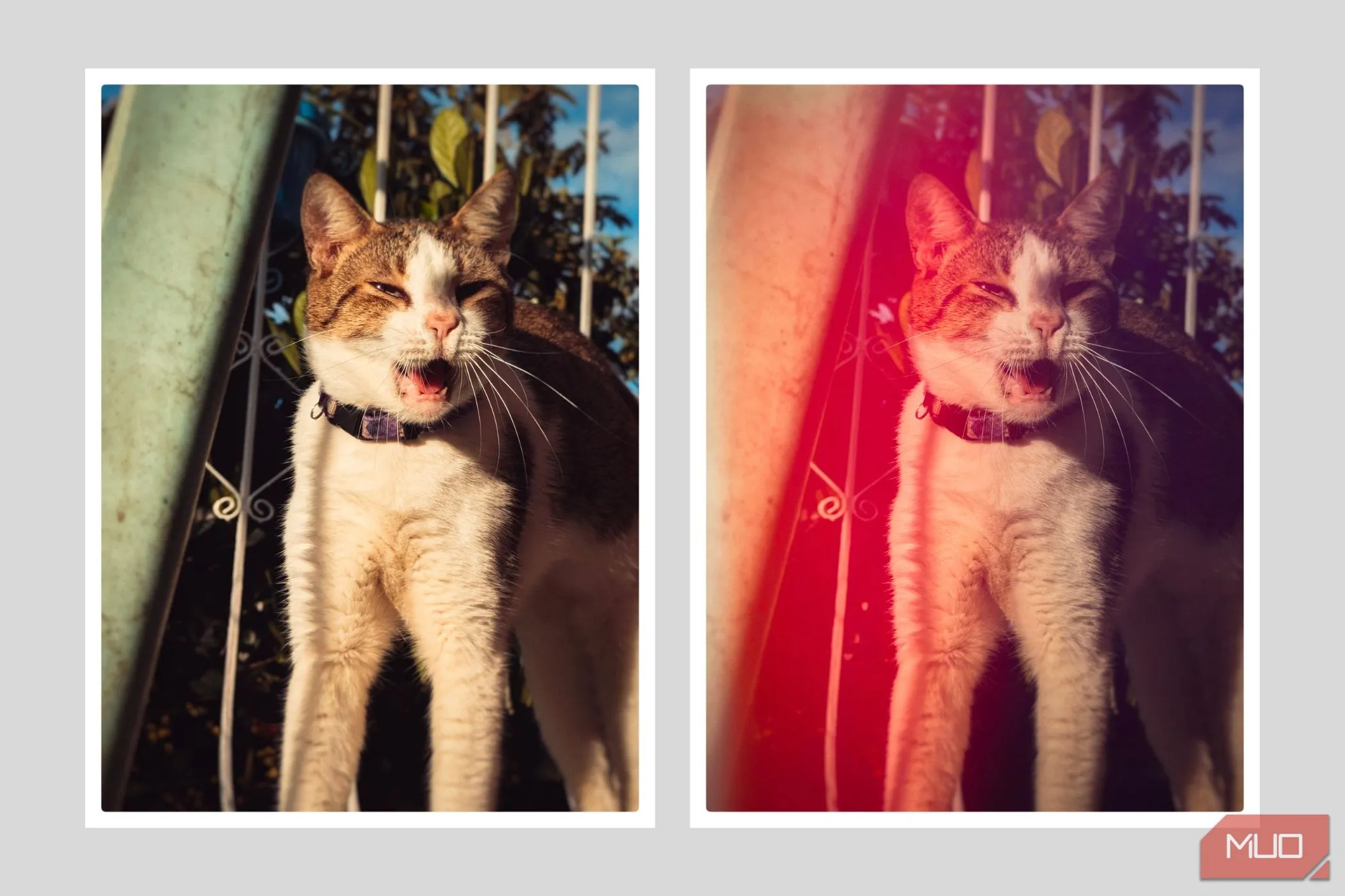 Thêm hiệu ứng hở sáng (light leaks) và tối góc (vignette) vào ảnh smartphone