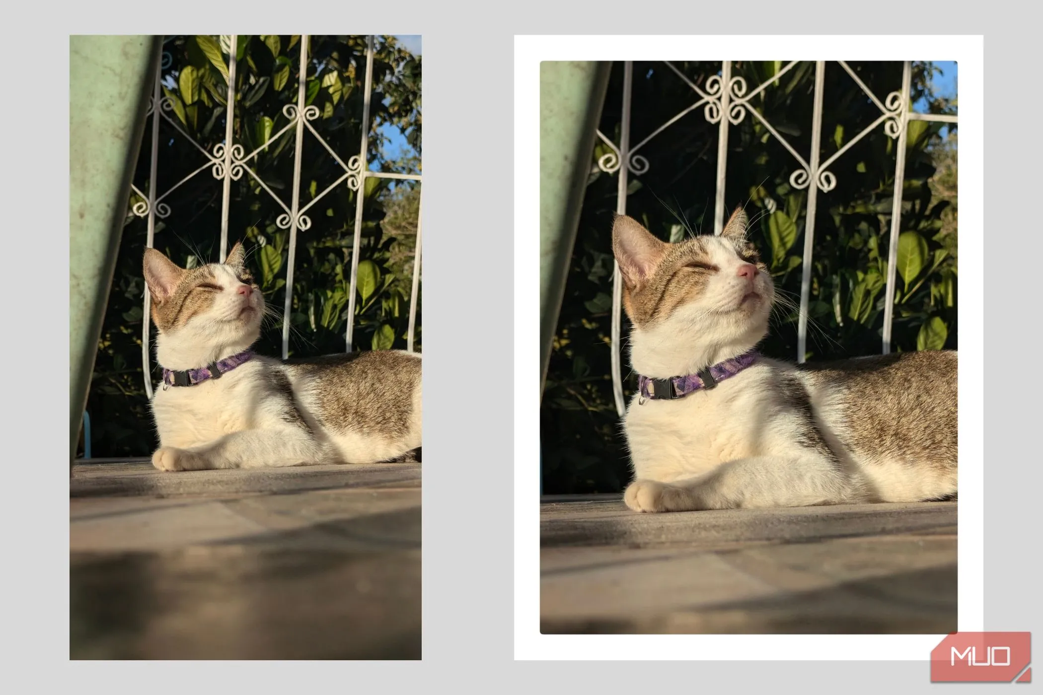 Thêm viền trắng và cắt ảnh tỉ lệ 4:3 cho hiệu ứng Polaroid