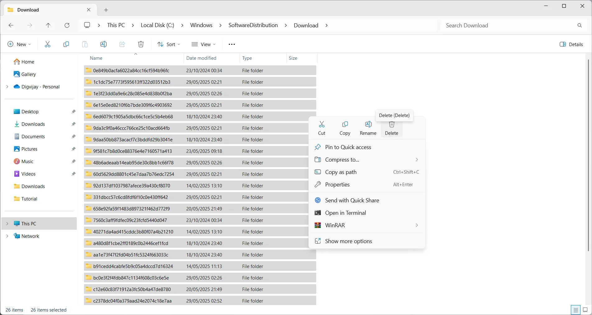 Thư mục Download bên trong SoftwareDistribution hiển thị các tệp cập nhật Windows đã tải xuống.