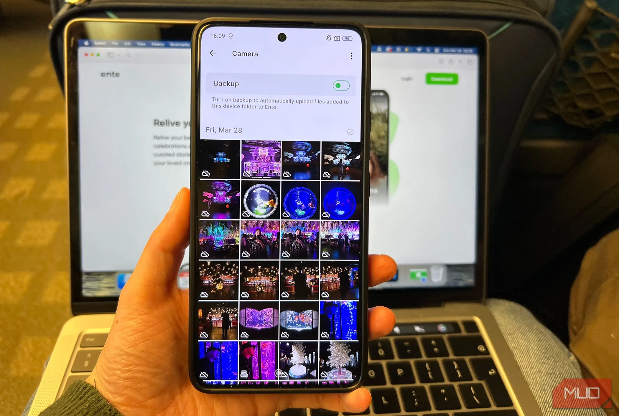 Thư viện ảnh của Ente Photos hiển thị sẵn sàng sao lưu, minh họa khả năng khám phá kỷ niệm thông minh (Intelligent Discovery).