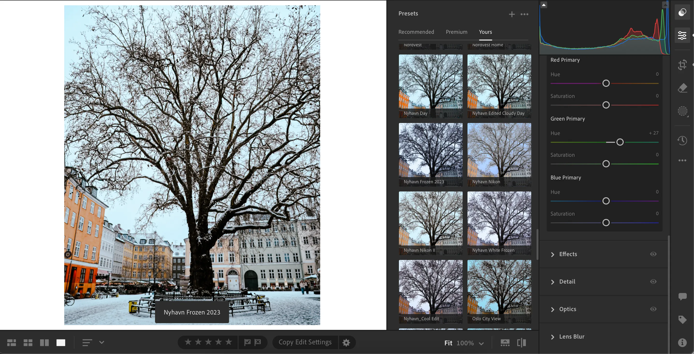 Thư viện preset chỉnh sửa ảnh đa dạng trong Adobe Lightroom