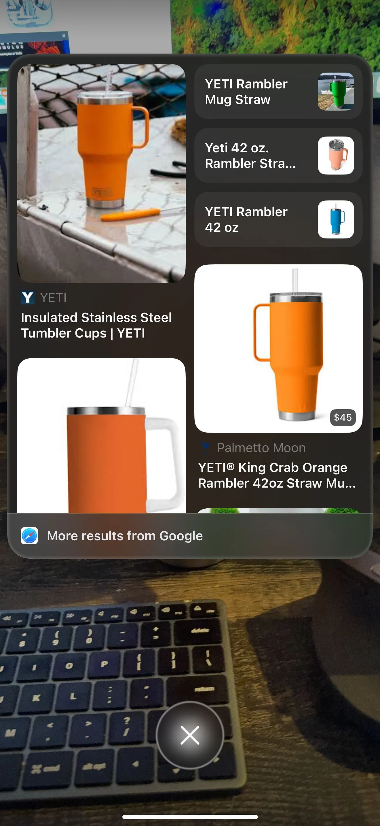 Tính năng Visual Intelligence thực hiện tìm kiếm qua Google