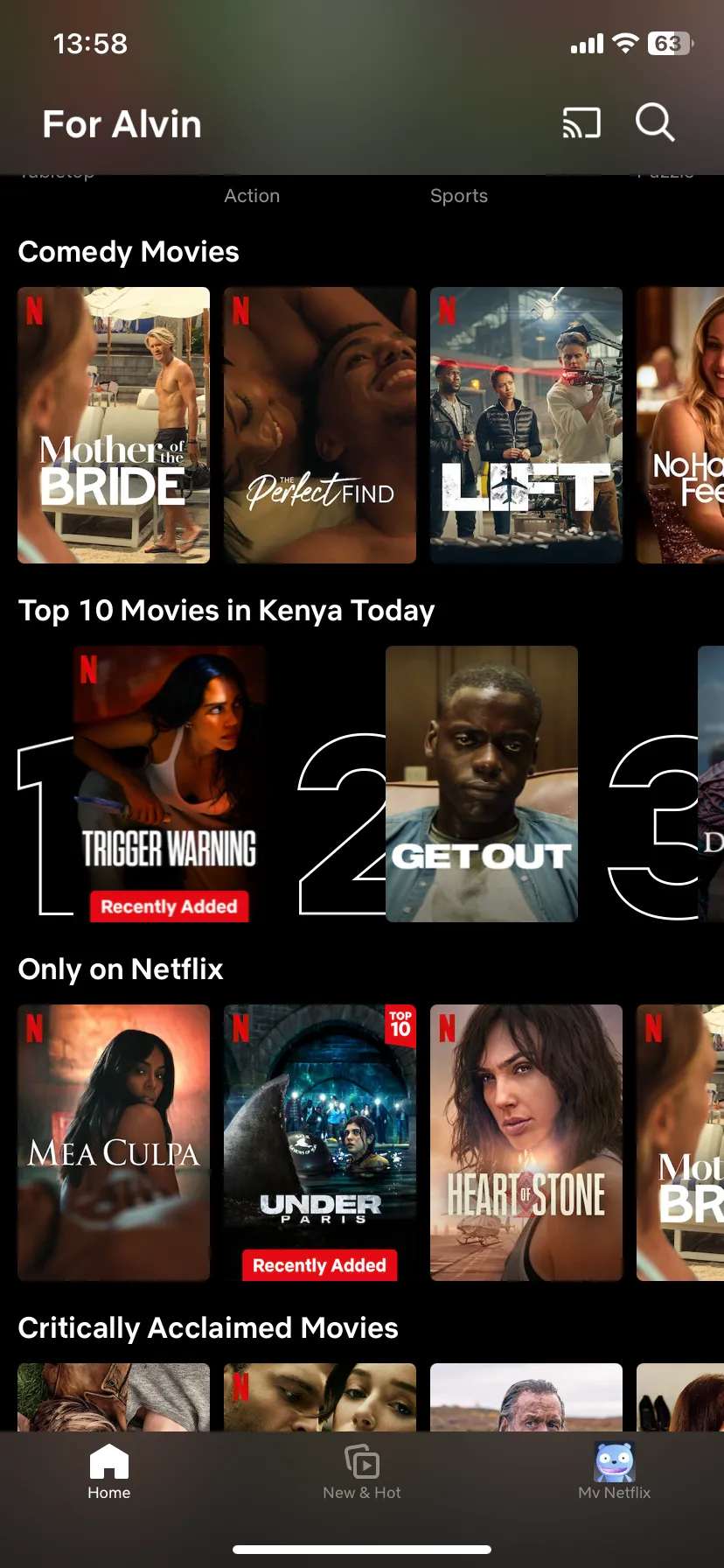 Trang chủ Netflix trên iOS, cung cấp các lựa chọn giải trí khi du khách có thời gian rảnh rỗi.