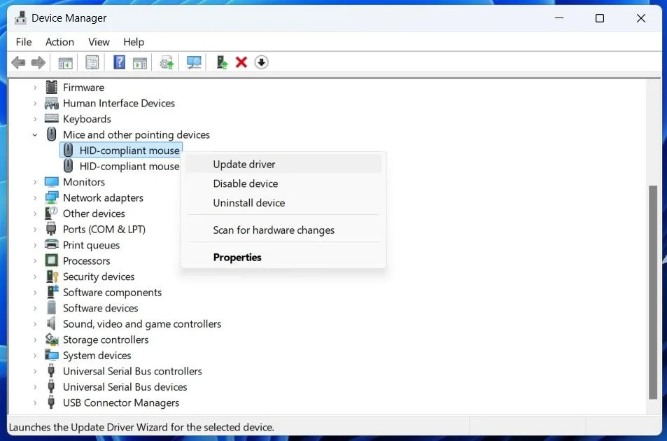 Update mouse driver option in Device Manager window