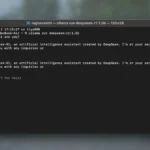 Giao diện Terminal hiển thị DeepSeek-R1 đang chạy lệnh