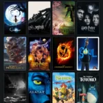 Letterboxd với các bộ phim giả tưởng nổi bật như Avatar và Spirited Away