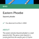 Màn hình ứng dụng Seek nhận diện cây qua ảnh