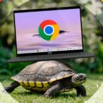 Một con rùa cõng chiếc Chromebook trên mai thể hiện sự chậm chạp của hệ thống khi Chrome cache quá lớn