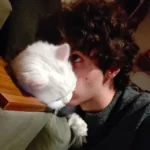 Người đàn ông và mèo trắng được chuyển đổi thành tranh hoạt hình phong cách South Park